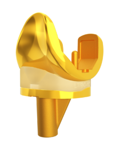 Ouro Excel Medial Pivot Knee